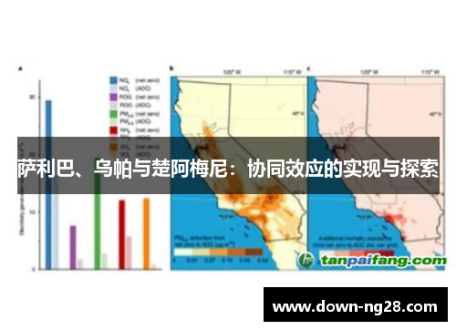 萨利巴、乌帕与楚阿梅尼:协同效应的实现与探索 萨利巴、乌帕与楚阿梅尼:协同效应的实现与探索