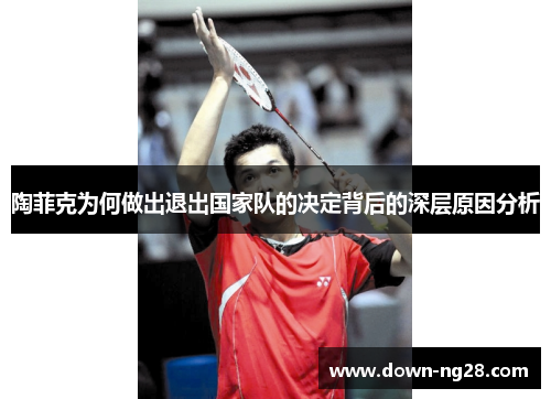 陶菲克为何做出退出国家队的决定背后的深层原因分析 陶菲克为何做出退出国家队的决定背后的深层原因分析