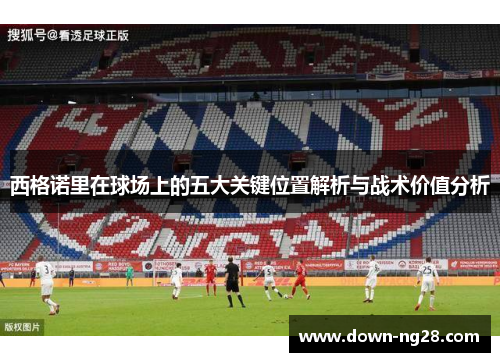 西格诺里在球场上的五大关键位置解析与战术价值分析 西格诺里在球场上的五大关键位置解析与战术价值分析