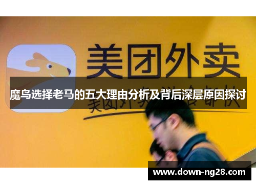魔鸟选择老马的五大理由分析及背后深层原因探讨 魔鸟选择老马的五大理由分析及背后深层原因探讨